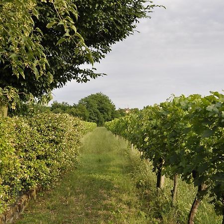 הוילה Capriva del Friuli Casa Griunit מראה חיצוני תמונה