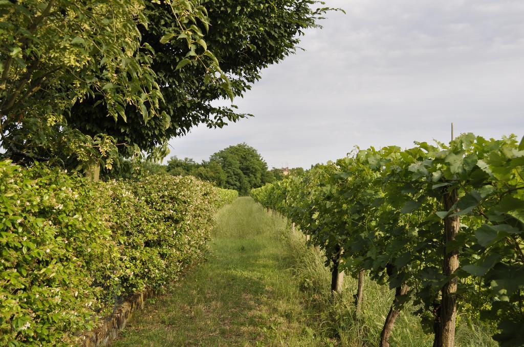 הוילה Capriva del Friuli Casa Griunit מראה חיצוני תמונה